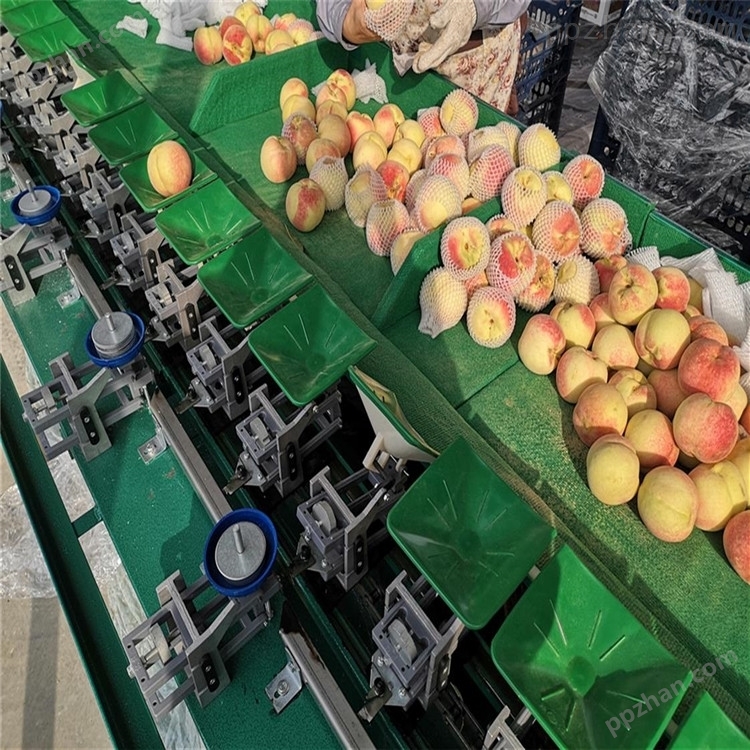 陕西洛川苹果选果机  重量分选大小