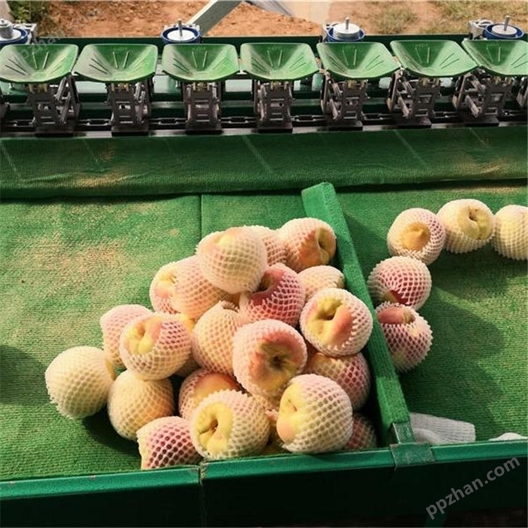 沂蒙山油桃选果机 重量分大小水果分选机