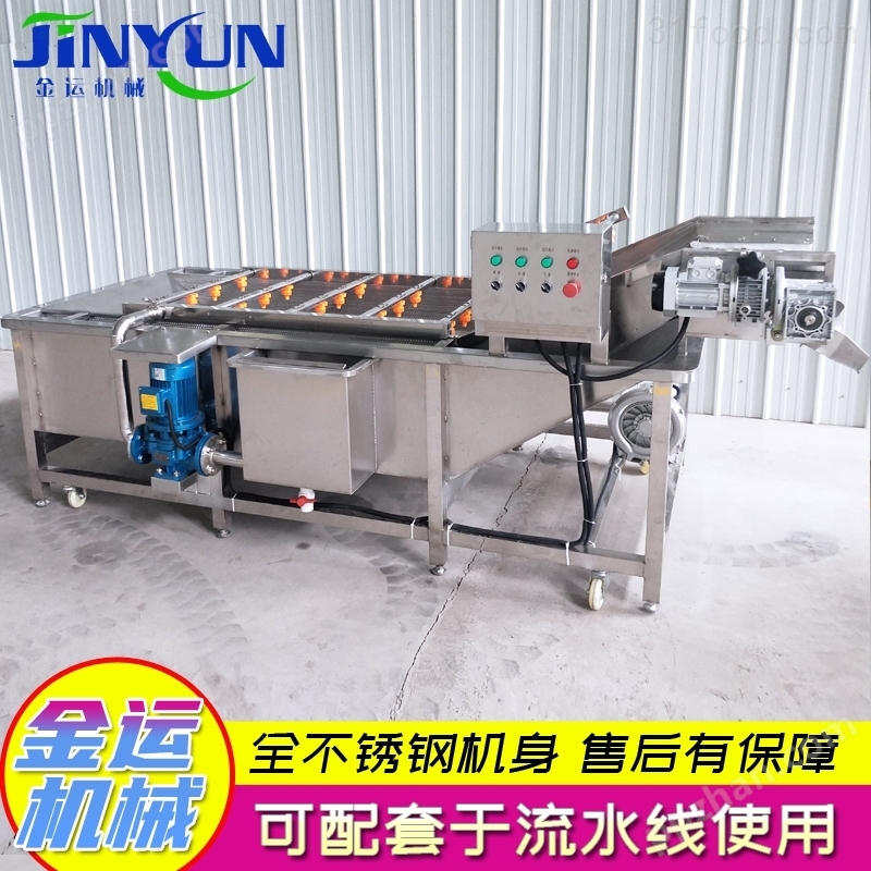 JY4000-西红柿蔬菜气泡清洗机