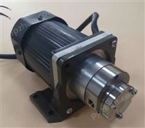 MG1000交流型微型磁驱动齿轮泵