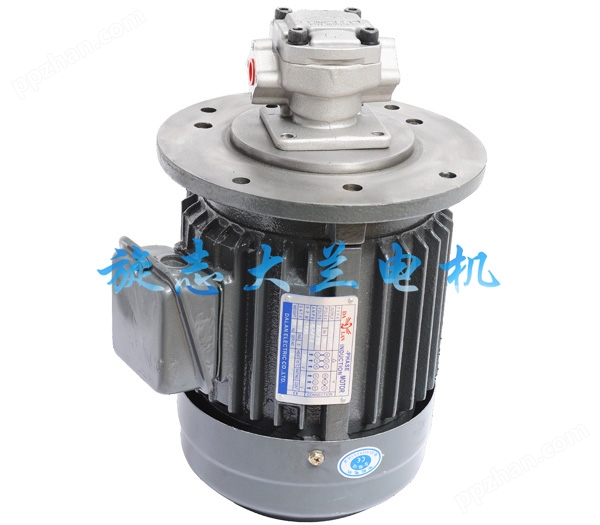 HGP-2A齿轮泵立式油泵专用电机组