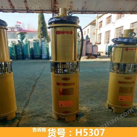 不锈钢潜水泵 家潜水泵 轴流潜水泵货号H5307