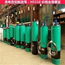 污水池搅拌潜水泵 污水潜水泵带切割 潜水泵和清水泵污水泵货号H5310