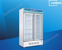 LG-900M2W冷藏柜