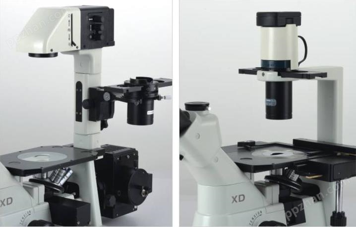 XD倒置生物显微镜