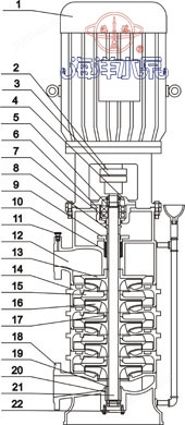 DL立式多级低转速清水泵结构示意图
