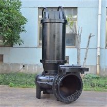 大口径排污泵 不锈钢大流量排污泵  污水泵