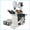 倒置荧光显微镜 CFM-500
