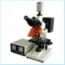 荧光显微镜 CFM-200