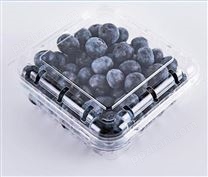 北京市pet水果吸塑包装盒 吸塑盒批发价格 植绒吸塑盒