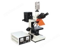 荧光显微镜 XSP-13C
