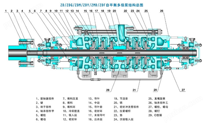 ZDF6-50自平衡耐腐蚀泵结构图
