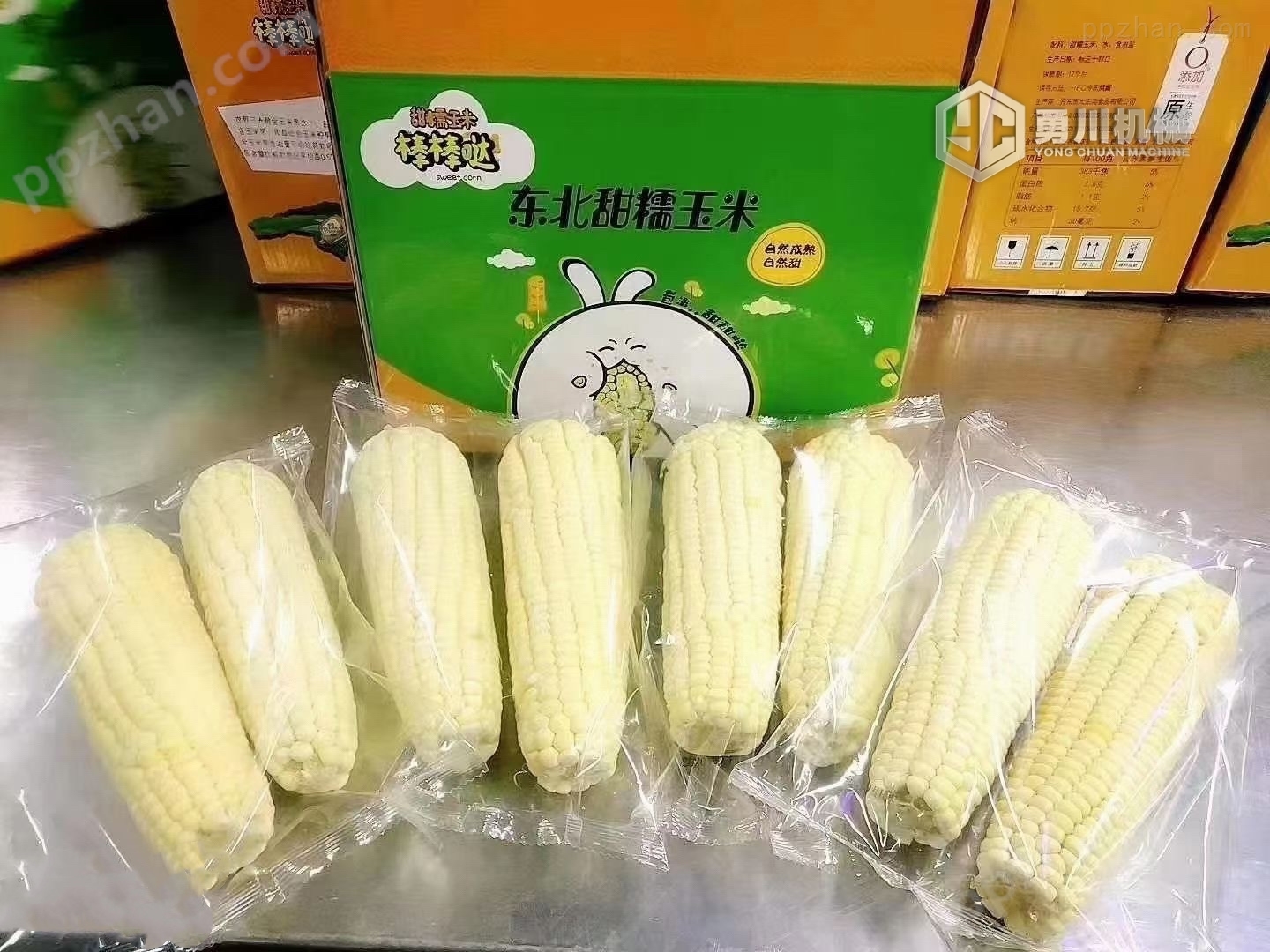 勇川玉米棒自动包装设备