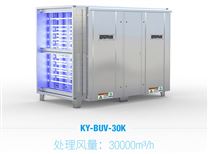 KY-BUV-30KUV光解除味除臭净化器